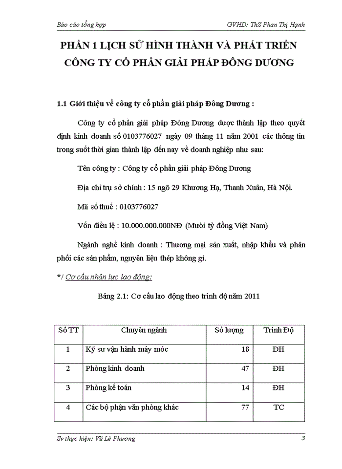 Giải pháp nâng cao hiệu quả sử dụng vốn lưu động của Công ty cổ phần giải pháp Đông Dương