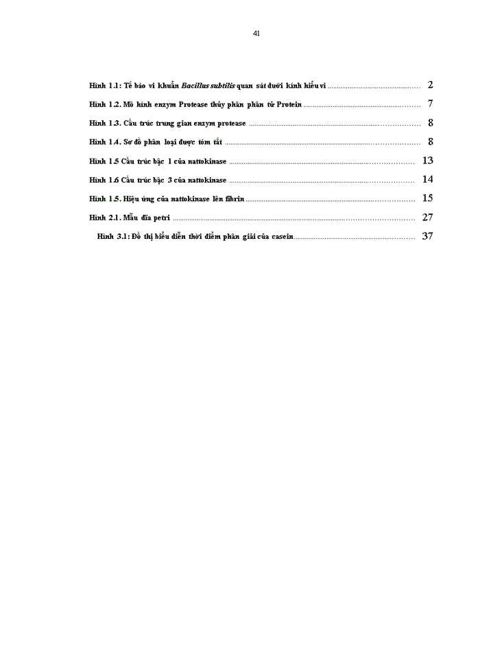 image for page Khảo sát ảnh hưởng của điều kiện nuôi cấy lên khả năng tạo enzym protease của vi khuẩn Bacillus subtilis natto