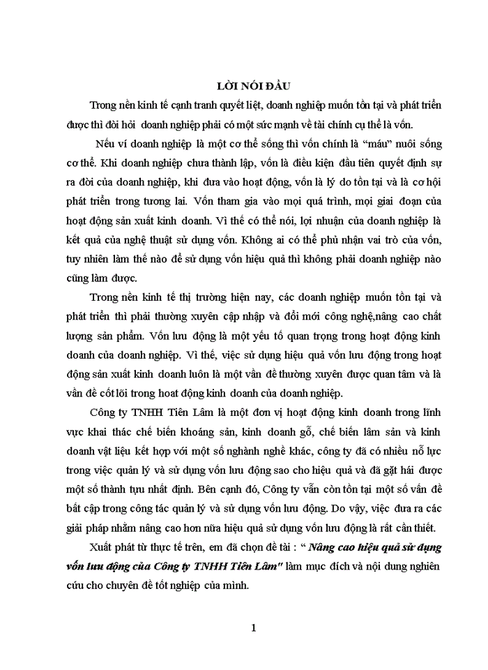 Nâng cao hiệu quả sử dụng vốn lưu động của Công ty Trách nhiệm hữu hạn Tiên Lâm