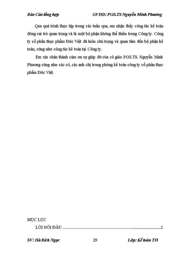 image for page Báo cáo Tổ chức bộ máy kế toán và hệ thống kế toán tại công ty Cổ phần thực phẩm Đức Việt