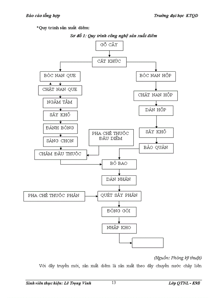 image for page Báo cáo Công ty cổ phần Diêm Thống Nhất