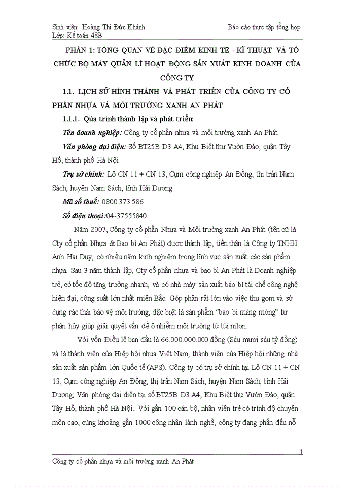 Báo cáo Công ty cổ phần nhựa và môi trường xanh An Phát