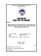 Kiểm toán doanh thu và khoản phải thu khách hàng trong kiểm toán Báo cáo tài chính do công ty trách nhiệm hữu hạn tài chính và kiểm toán việt nam thực hiện