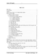 Nõng cao chất lượng dịch vụ thụng qua việc hoàn thiện ỏp dụng Hệ thống quản lớ chất lượng ISO 9001 2000 tại công ty Cổ phần Viễn thụng Tin học - Bưu điện