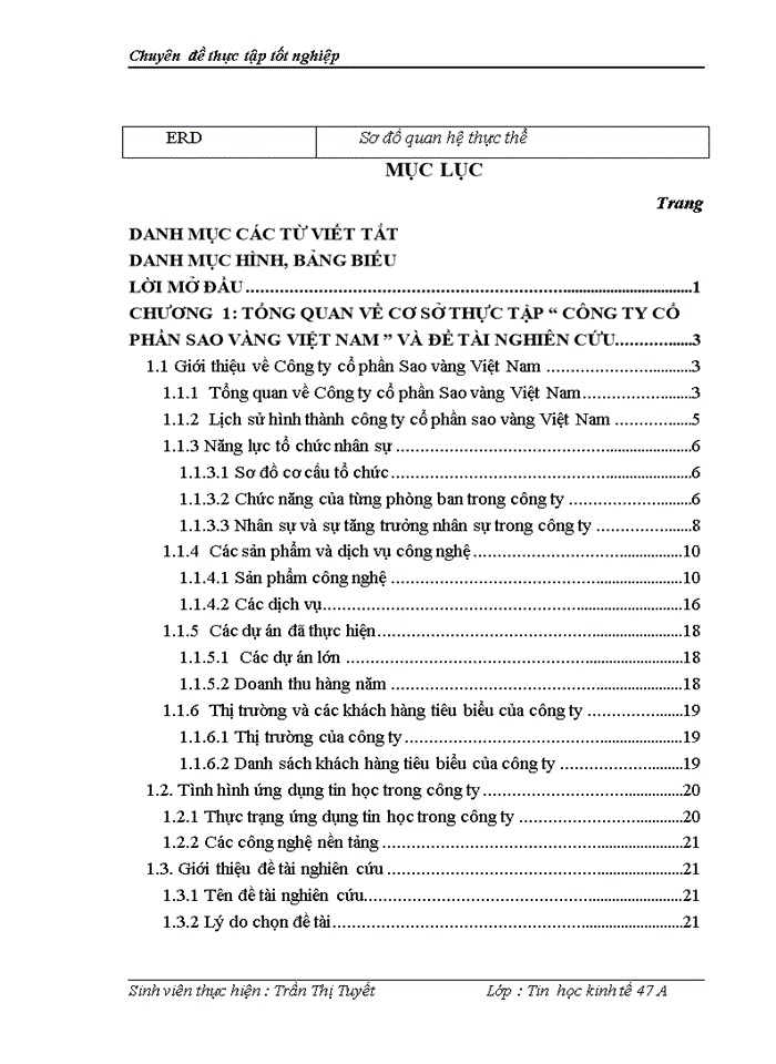 image for page THS Xõy dựng hệ thống thụng tin quản lý khách hàng tại công ty cổ phần Sao vàng Việt Nam