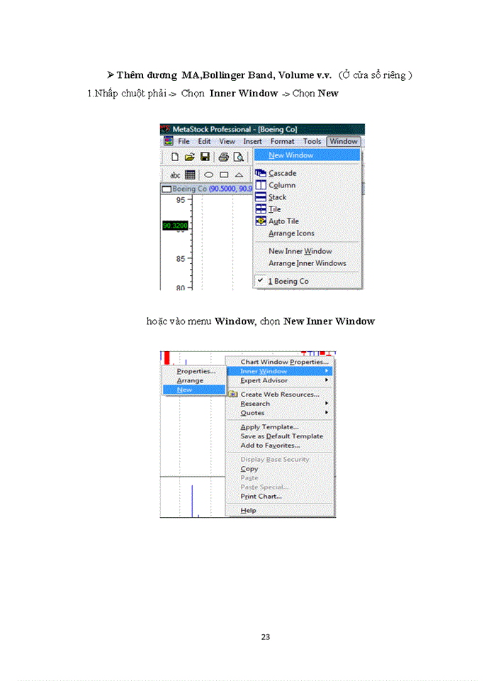 image for page Hướng dẫn sử dụng phần mềm metastock và giới thiệu các chức năng sử dụng cơ bản