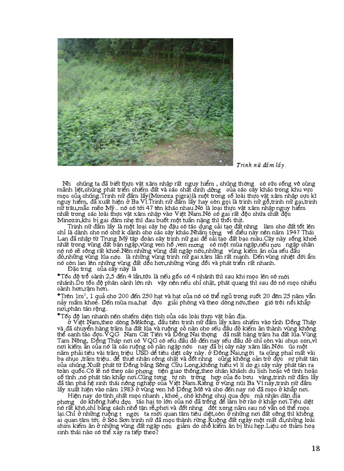 image for page Báo cáo Giíi thiÖu kh i qu t vÒ V ên Quèc Gia Ba V