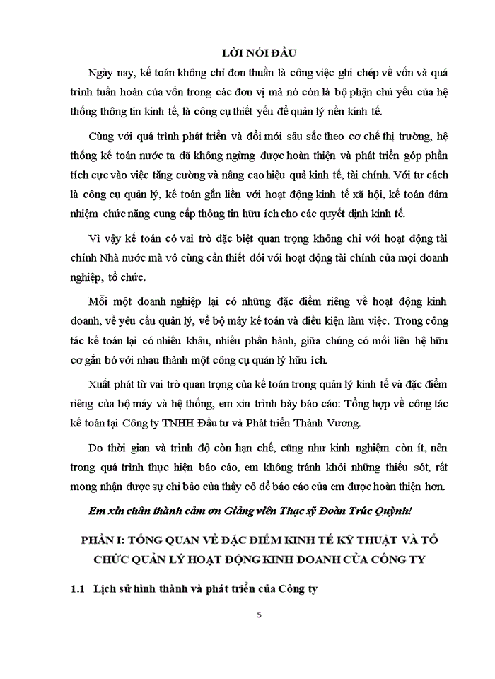 Báo cáo Công ty Trách nhiệm hữu hạn Đầu tư và Phát triển Thành Vương