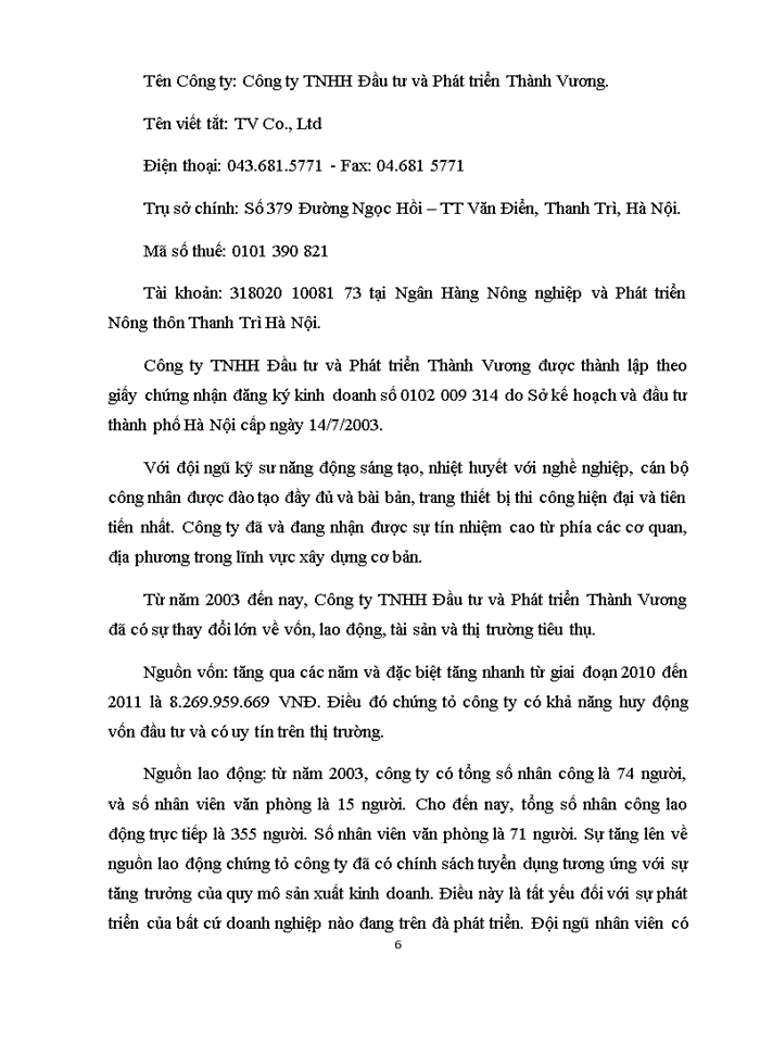 Báo cáo Công ty Trách nhiệm hữu hạn Đầu tư và Phát triển Thành Vương