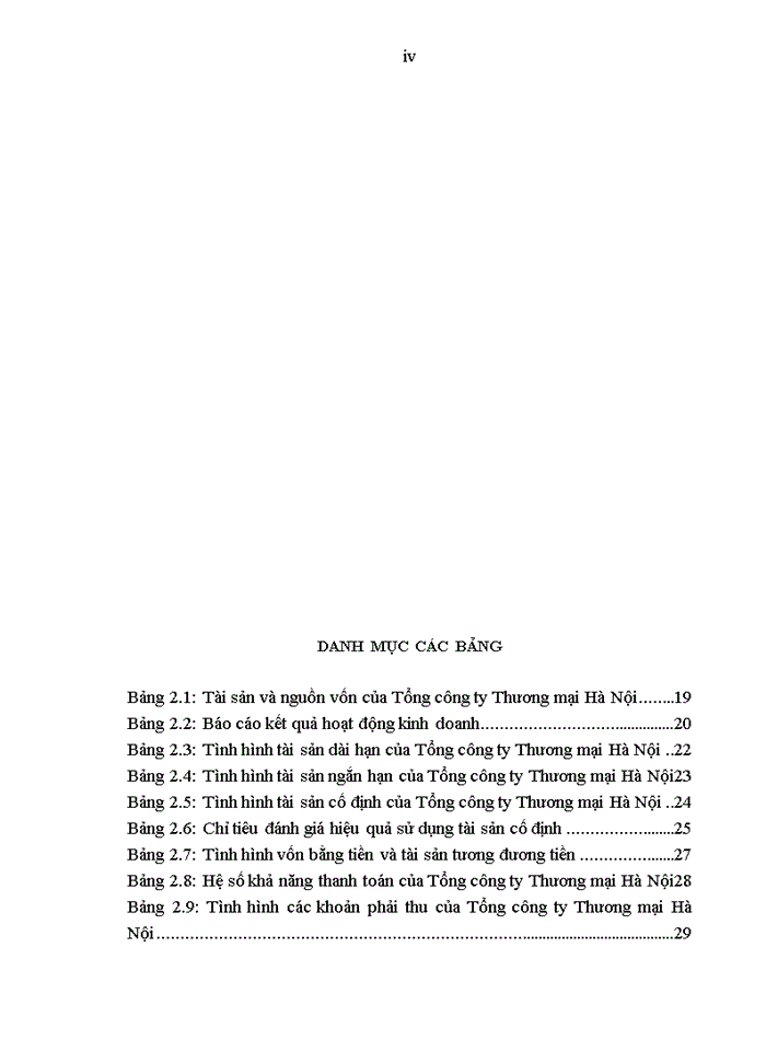 THỰC TRẠNG VÀ GIẢI PHÁP NÂNG CAO HIỆU QUẢ SỬ DỤNG VỐN TẠI TỔNG CÔNG TY THƯƠNG MẠI HÀ NỘI