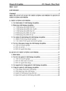 Nâng cao hiệu quả công tác quản lý chất lượng sản phẩm tại Công ty Cao su Sao Vàng trong tiến trình hội nhập