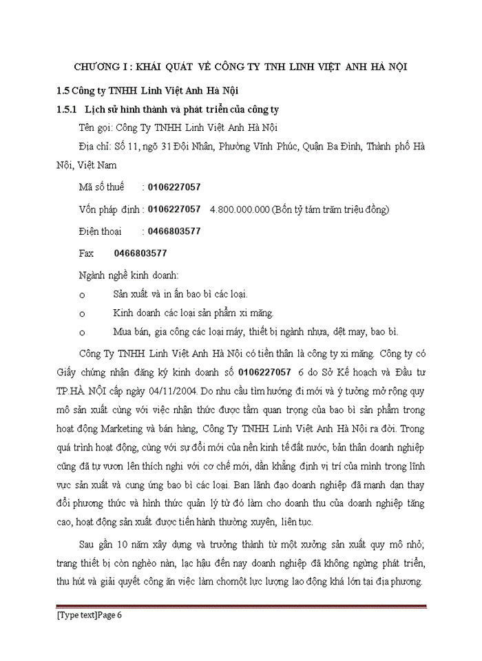PHÂN TÍCH LỢI NHUẬN KINH DOANH CỦA CÔNG TY TRÁCH NHIỆM HỮU HẠN LINH VIỆT ANH HÀ NỘI