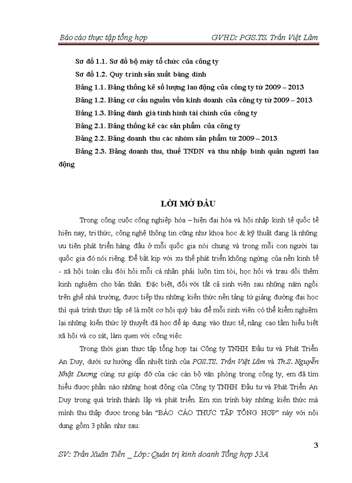 image for page Báo cáo Công ty Trách nhiệm hữu hạn Đầu tư và Phát triển An Duy