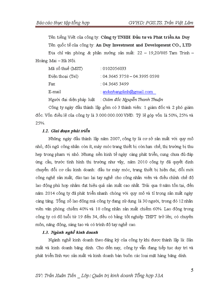 image for page Báo cáo Công ty Trách nhiệm hữu hạn Đầu tư và Phát triển An Duy
