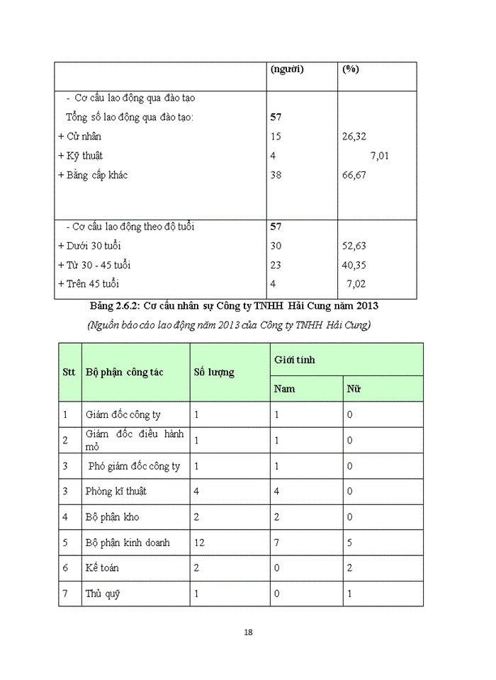 image for page Báo cáo Tổng quan về công ty THHH Hải Cung