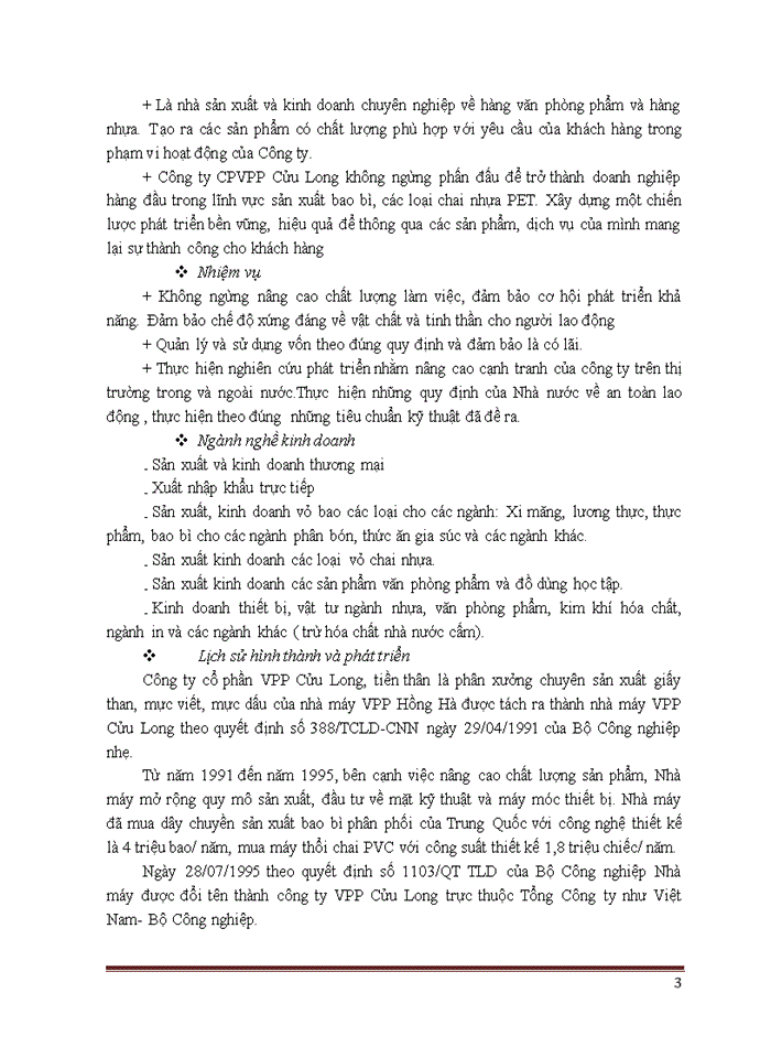 Báo cáo TỔNG QUAN VỀ CÔNG TY CỔ PHẦN VĂN PHÒNG PHẨM CỬU LONG