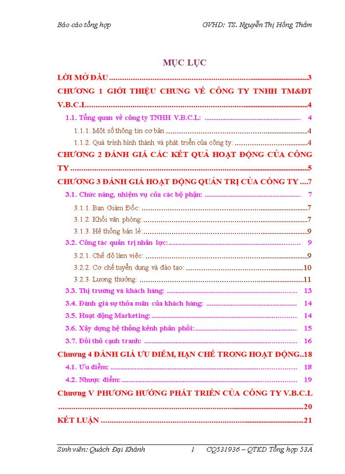 image for page Báo cáo Đánh giá các hoạt động quản trị của của Công ty Trách nhiệm hữu hạn Thương mại và đầu tư Venus Beauty Care Line