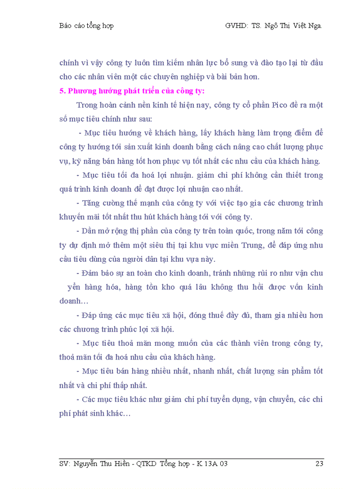 image for page Báo cáo Công ty cổ phần Pico