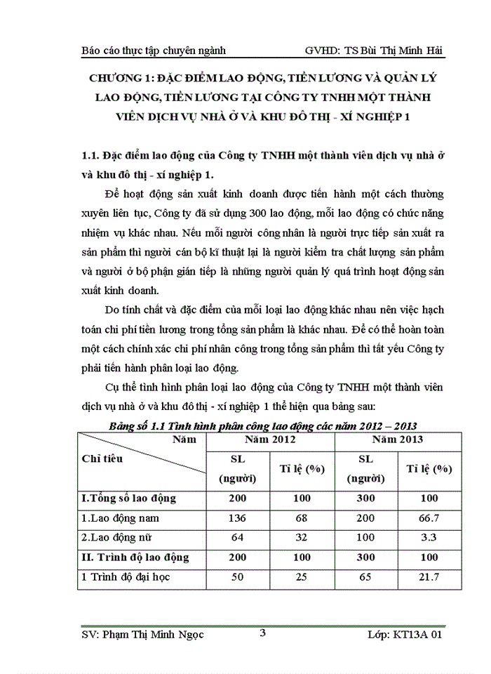 image for page Báo cáo tại Công ty Trách nhiệm hữu hạn một thành viên dịch vụ nhà ở và khu đô thị - xí nghiệp 1