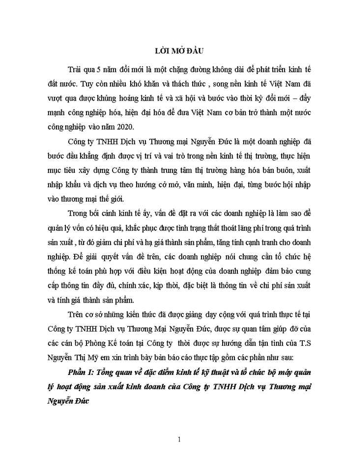 image for page Báo cáo CÔNG TY Trách nhiệm hữu hạn DỊCH VỤ THƯƠNG MẠI NGUYỄN ĐỨC