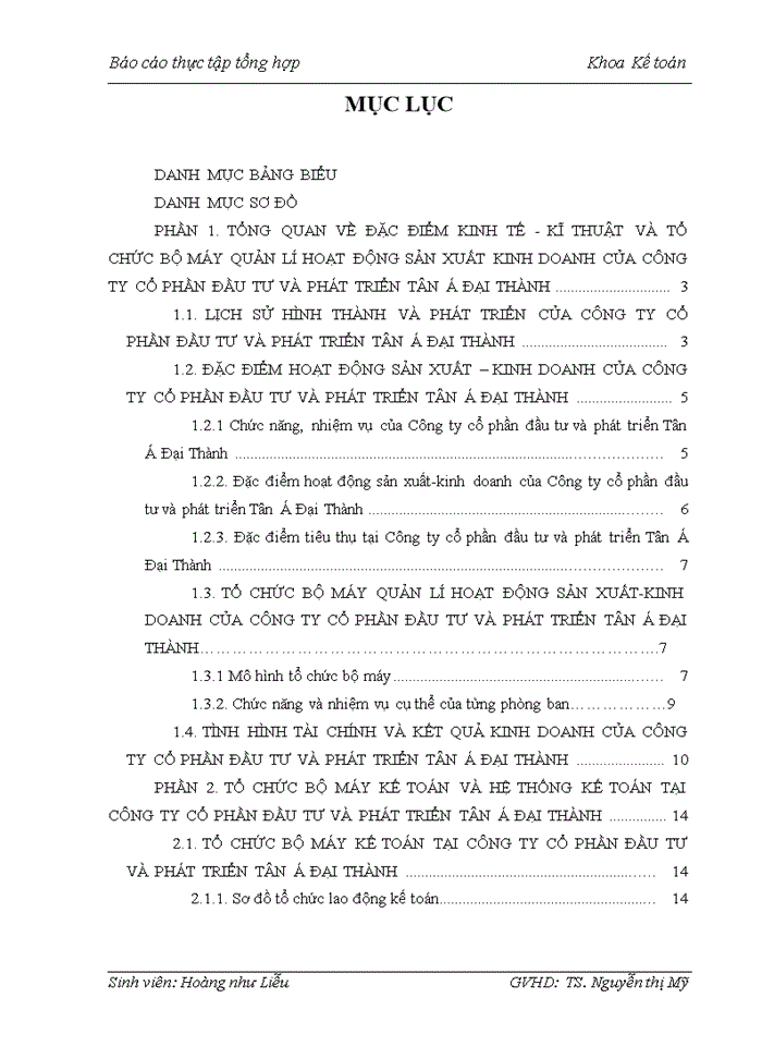 image for page Báo cáo CÔNG TY CỔ PHẦN ĐẦU TƯ VÀ PHÁT TRIỂN TÂN Á ĐẠI THÀNH
