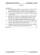 Báo cáo Công ty Cổ phần tập đoàn đầu tư xây dựng Cường Thịnh Thi