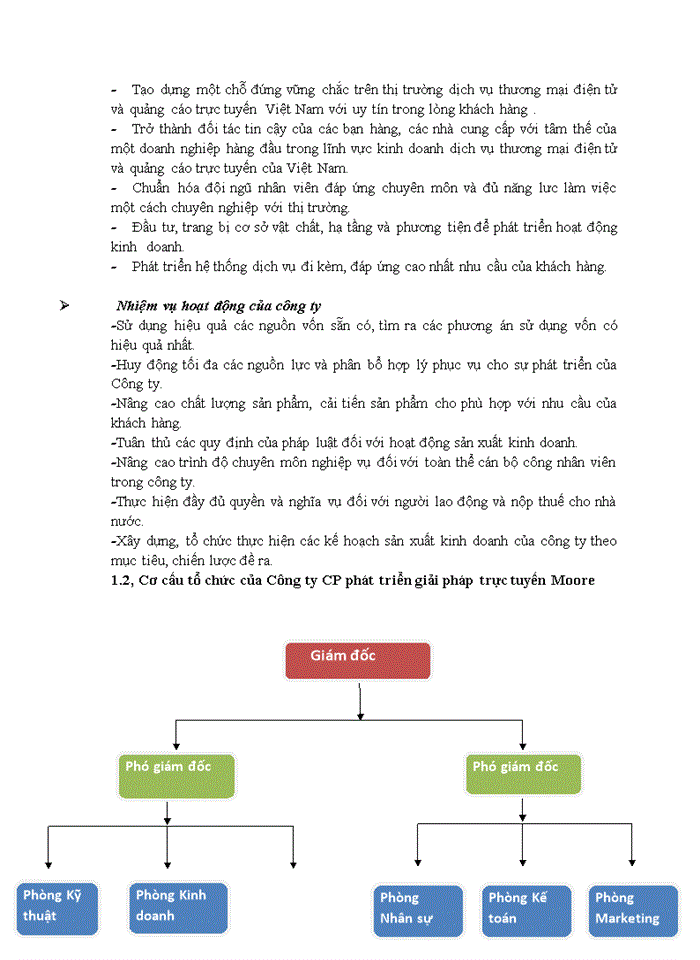 Báo cáo CÔNG TY CỔ PHẦN PHÁT TRIỂN GIẢI PHÁP TRỰC TUYẾN MOORE