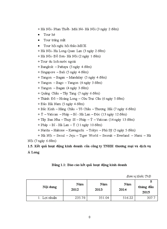 image for page Báo cáo Công ty Trách nhiệm hữu hạn Thương Mại và Du Lịch Á Long