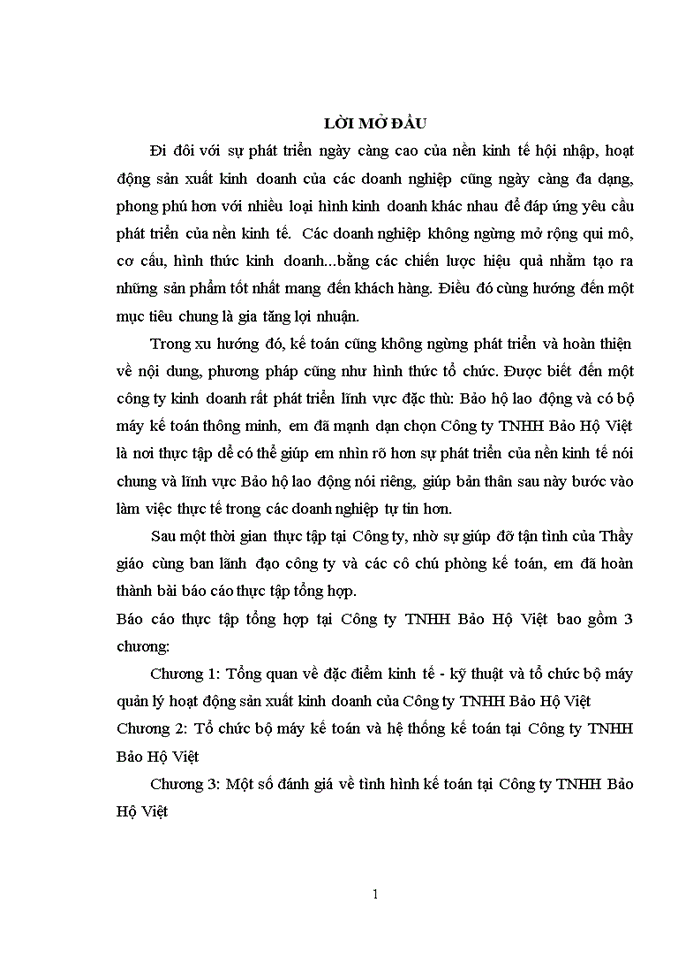 image for page Báo cáo thực tập tổng hợp tại Công ty Trách nhiệm hữu hạn Bảo Hộ Việt