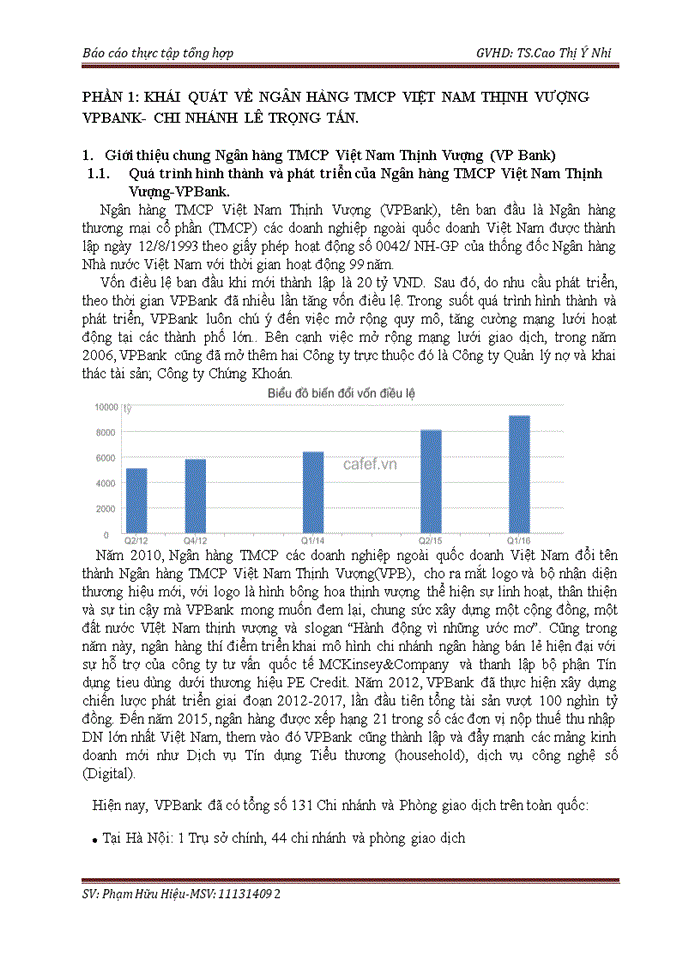 Báo cáo NGÂN HÀNG THƯƠNG MẠI CỔ PHẦN VIỆT NAM THỊNH VƯỢNG CHI NHÁNH LÊ TRỌNG TẤN