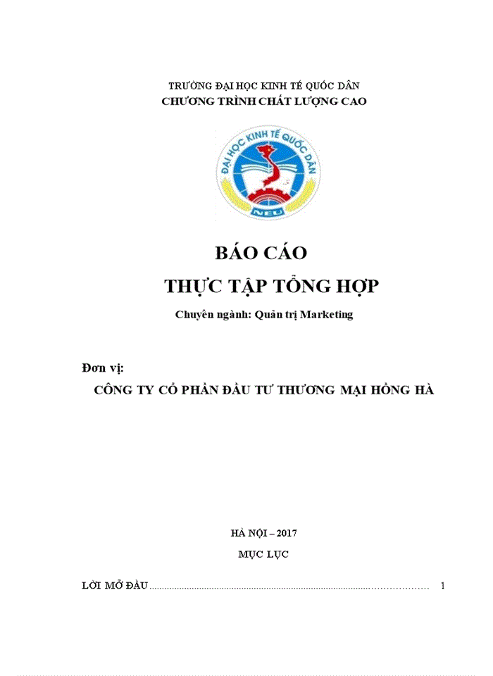 Báo cáo CÔNG TY CỔ PHẦN ĐẦU TƯ THƯƠNG MẠI HỒNG HÀ