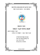 Báo cáo tại CÔNG TY Trách nhiệm hữu hạn U - MAC VIỆT NAM