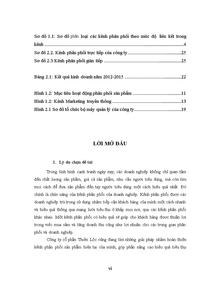 image for page PHÁT TRIỂN KÊNH PHÂN PHỐI SẢN PHẨM NHẬP KHẨU TẠI CÔNG TY CỔ PHẦN THIÊN LỘC