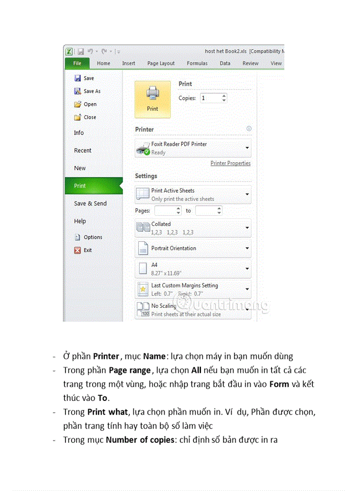 image for page In ấn trong MS-Word và MS-Excel