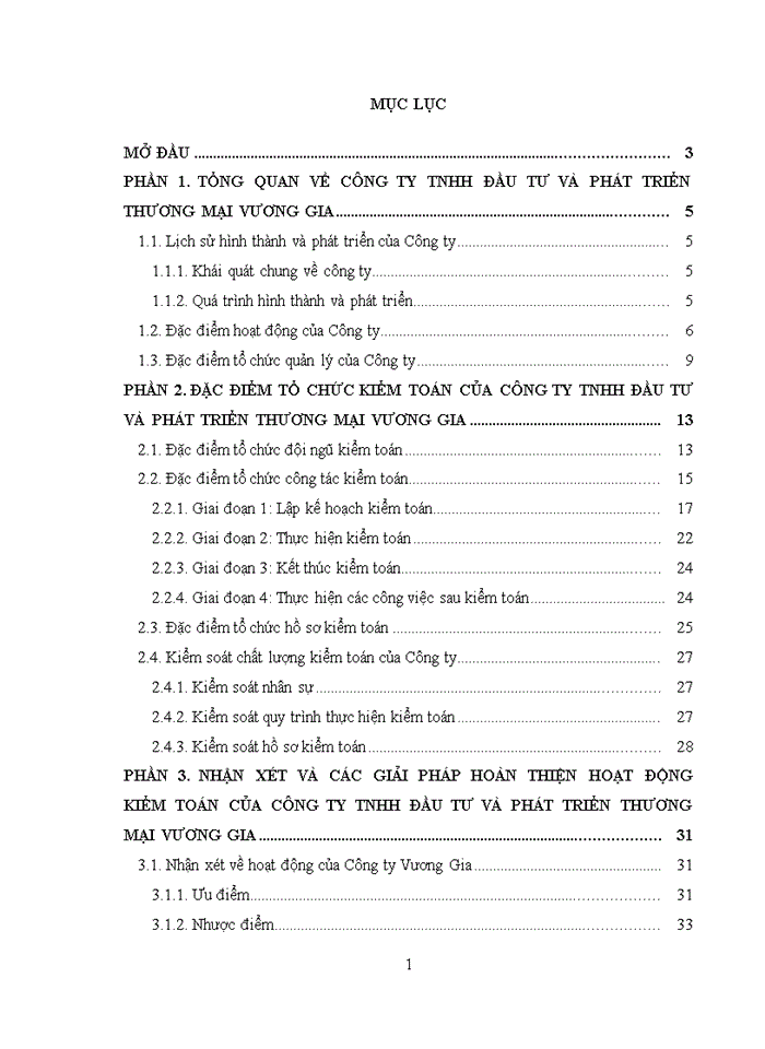 image for page Đặc điểm tổ chức kiểm toán của Công ty Trách nhiệm hữu hạn Đầu Tư và Phát Triển Thương Mại Vương Gia
