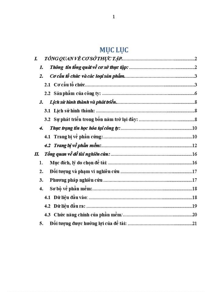 Báo cáo Công ty cổ phần nước mắm Thanh Hương