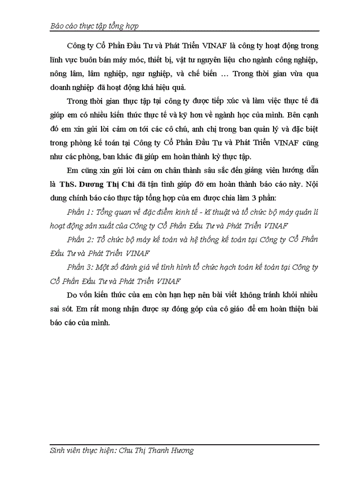 BÁO CÁO TẠI CÔNG TY CỔ PHẦN ĐẦU TƯ VÀ PHÁT TRIỂN VINAF
