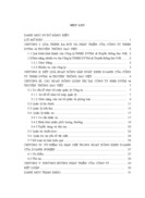 Báo cáo CÔNG TY Trách nhiệm hữu hạn DỊCH VỤ THƯƠNG MẠI VÀ TRUYỀN THÔNG SAO VIỆT