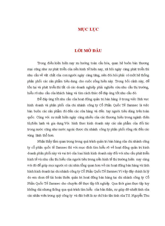 GIẢI PHÁP HOÀN THIỆN QUẢN TRỊ BÁN HÀNG CỦA CHI NHÁNH CÔNG TY CỔ PHẦN QUỐC TẾ SAMNEC