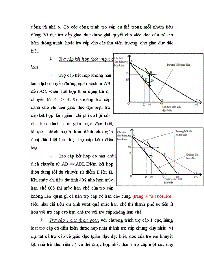 image for page Câu Hỏi ôn Tập Kinh Tế đô Thị