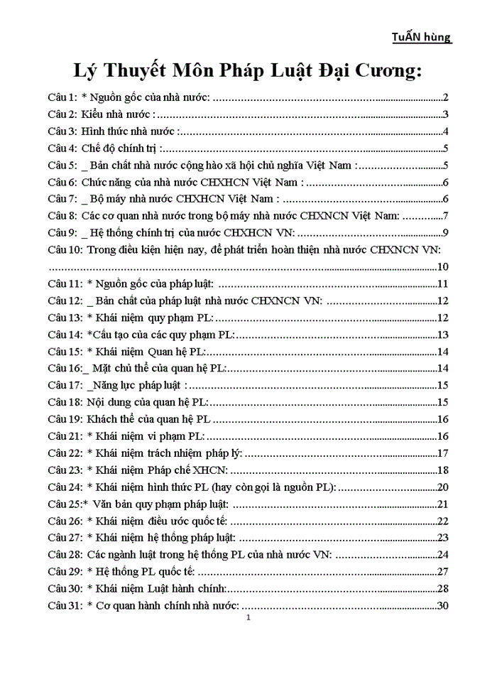 image for page Lý Thuyết Môn Pháp Luật Đại Cương