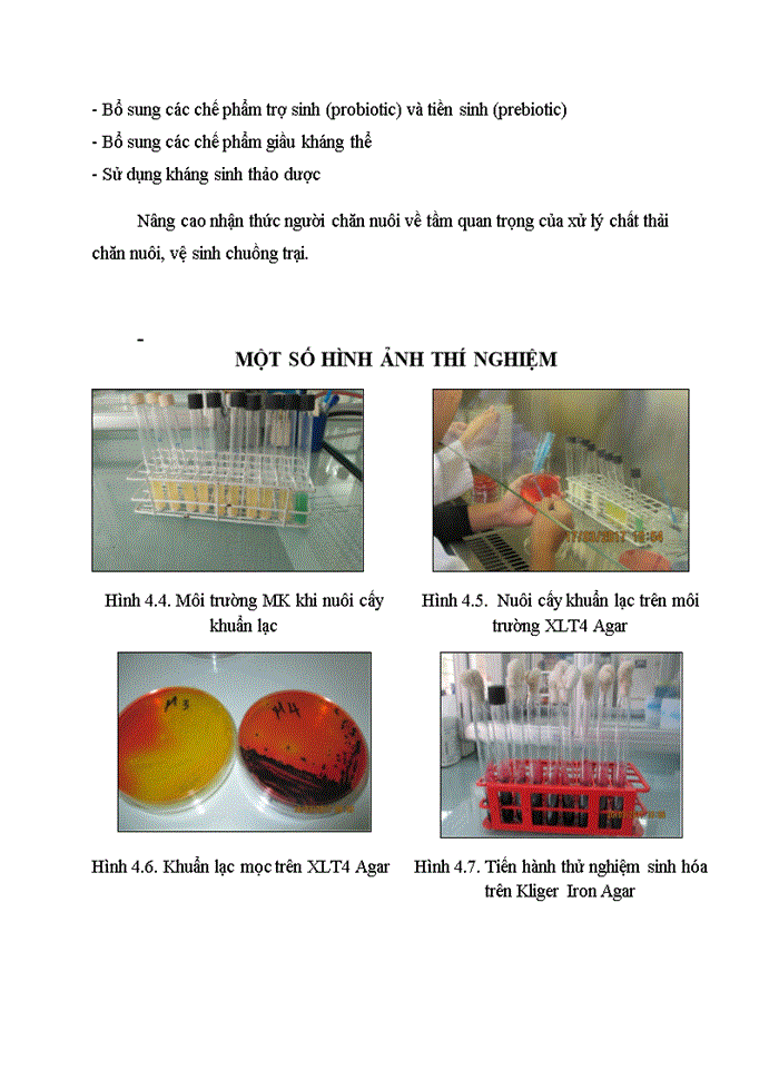 image for page ĐIỀU TRA TỶ LỆ NHIỄM SALMONELLA TRÊN MỘT SỐ TRẠI GÀ Ở THÀNH PHỐ HẢI PHÒNG