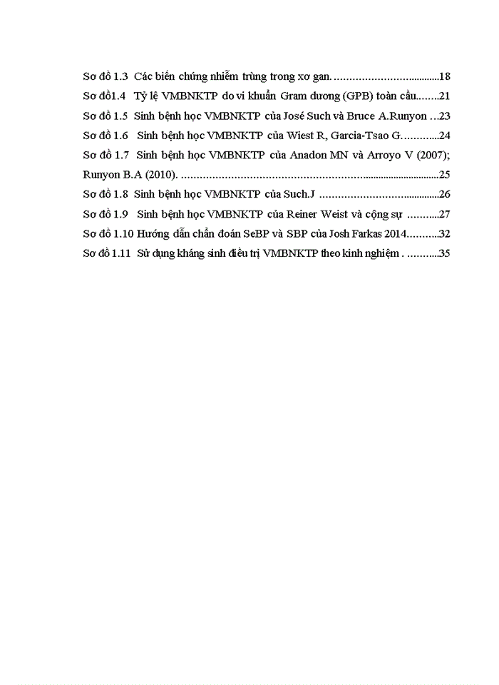 image for page VIÊM MÀNG BỤNG NHIỄM KHUẨN TỰ PHÁT Ở BỆNH NHÂN XƠ GAN