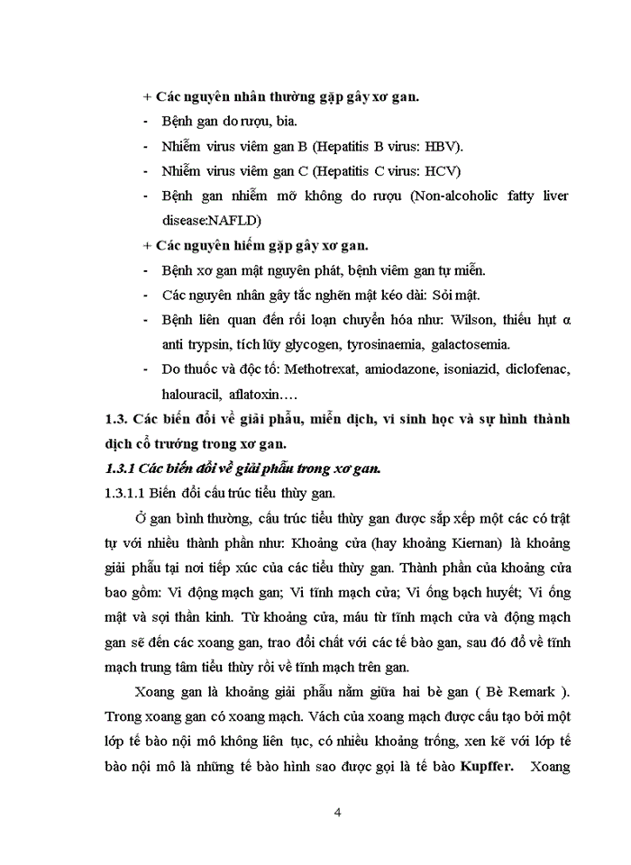 image for page VIÊM MÀNG BỤNG NHIỄM KHUẨN TỰ PHÁT Ở BỆNH NHÂN XƠ GAN