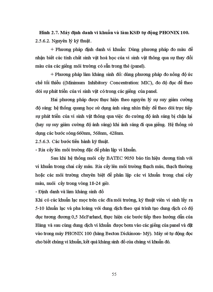 image for page VIÊM MÀNG BỤNG NHIỄM KHUẨN TỰ PHÁT Ở BỆNH NHÂN XƠ GAN