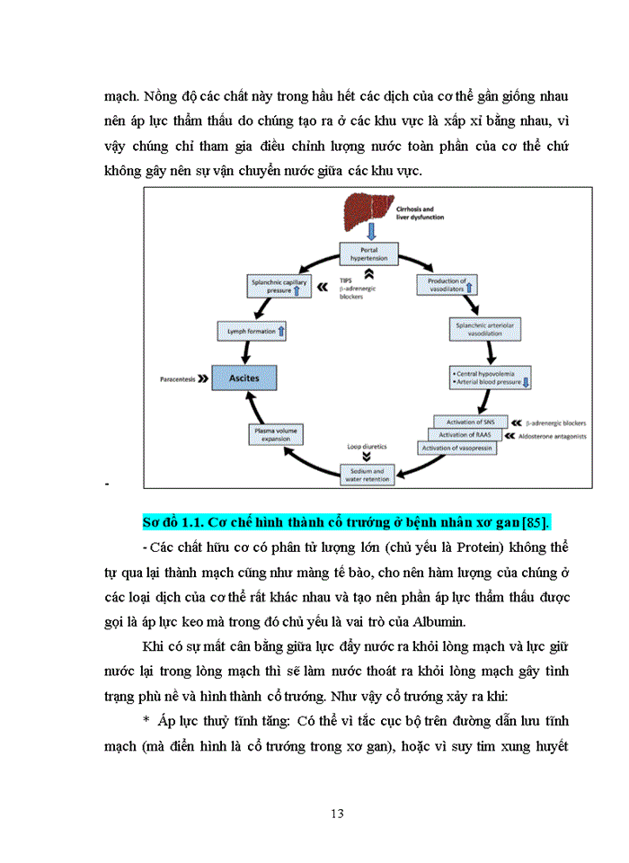 image for page Nghiên cứu đặc điểm lâm sàng cận lâm sàng và điều trị ở bệnh nhân xơ gan có biến chứng viêm màng bụng nhiễm khuẩn tự phát