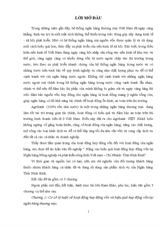 MỘT SỐ GIẢI PHÁP NHẦM NÂNG CAO HIỆU QUẢ HOẠT ĐỘNG HUY ĐỘNG VỐN TẠI NGÂN HÀNG NÔNG NGHIỆP VÀ PHÁT TRIỂN NÔNG THÔN VIỆT NAM AGRIBANK CHI NHÁNH TỈNH NINH BÌNH
