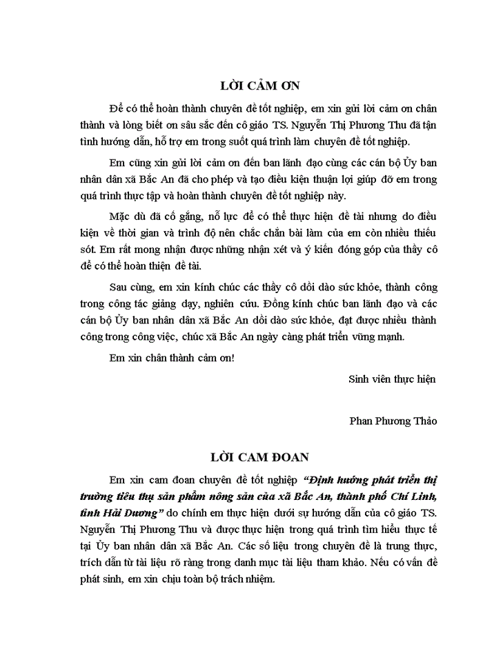 image for page ĐỊNH HƯỚNG PHÁT TRIỂN THỊ TRƯỜNG TIÊU THỤ SẢN PHẨM NÔNG SẢN CỦA XÃ BẮC AN THÀNH PHỐ CHÍ LINH TỈNH HẢI DƯƠNG