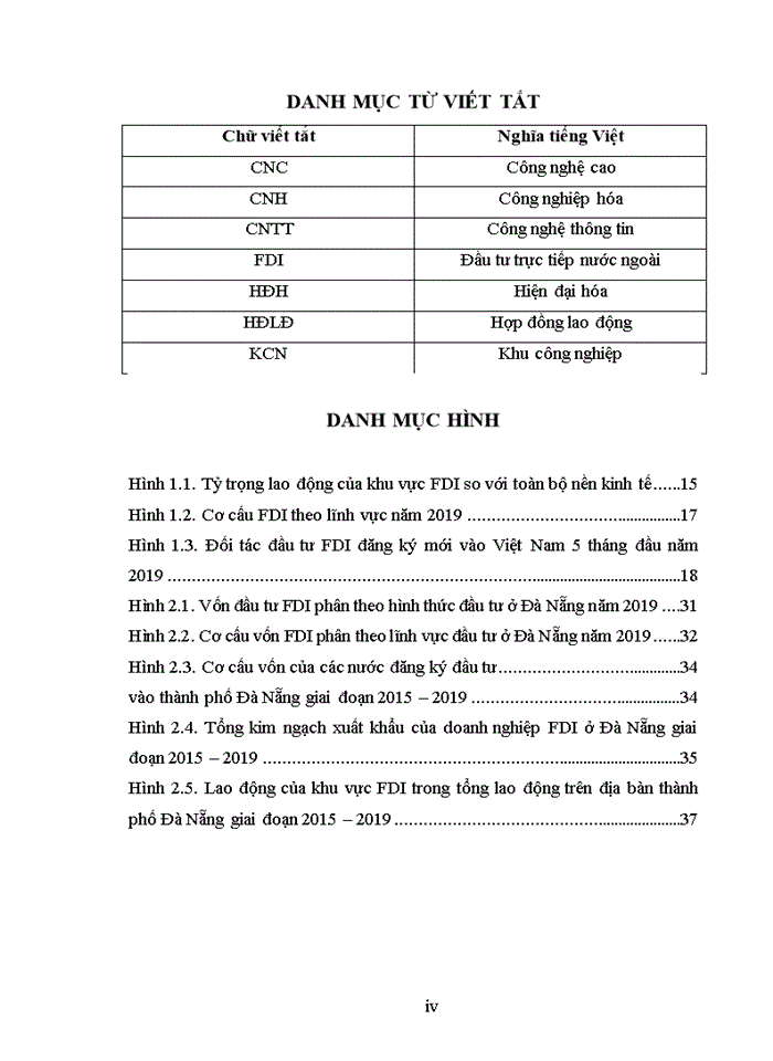 GIẢI PHÁP THU HÚT ĐẦU TƯ TRỰC TIẾP NƯỚC NGOÀI VÀO THÀNH PHỐ ĐÀ NẴNG