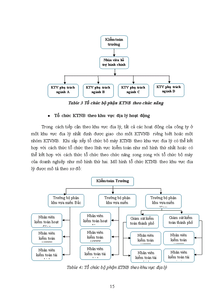 image for page Tìm hiểu các mô hình tổ chức bộ máy kiểm toán nội bộ tại Việt Nam